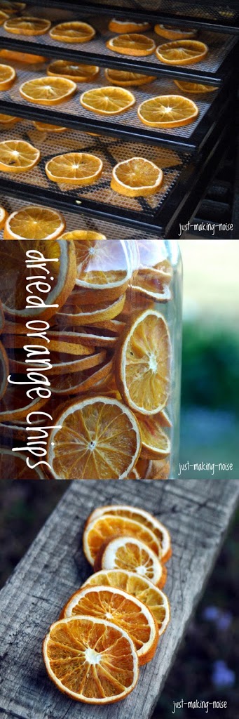 Dried Oranges Recipe (the Crisp Ones!) - The Delicious Life